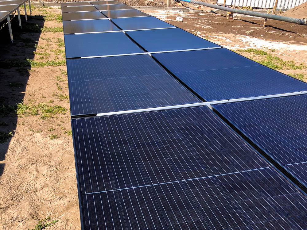 Finca Shadai Híbrido 1